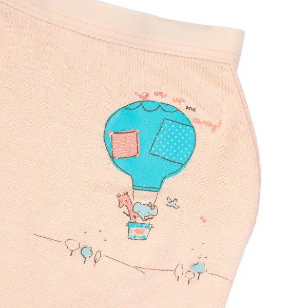 Bộ 3 quần lót bé gái đùi Animo VĐ223006 (2-6Y,Nhiều màu)