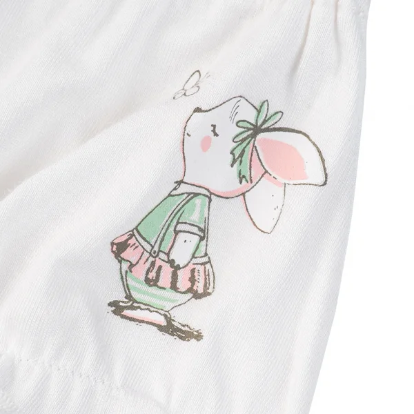 Bộ 3 quần lót bé gái tam giác Animo VĐ223004 (12M-4Y,Nhiều màu)