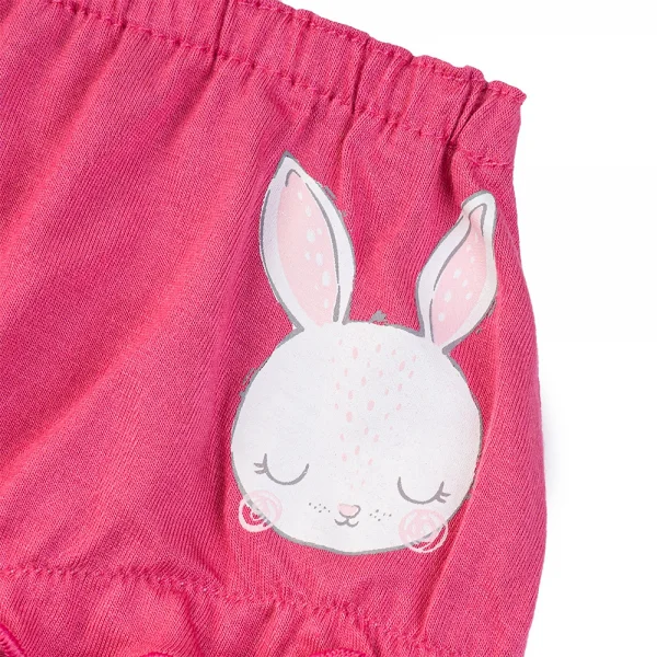 Bộ 3 quần lót bé gái tam giác Animo VĐ223003 (12M-4Y,Nhiều màu)