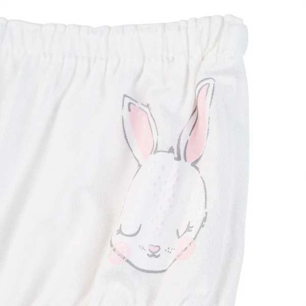 Bộ 3 quần lót bé gái tam giác Animo VĐ223003 (12M-4Y,Nhiều màu)