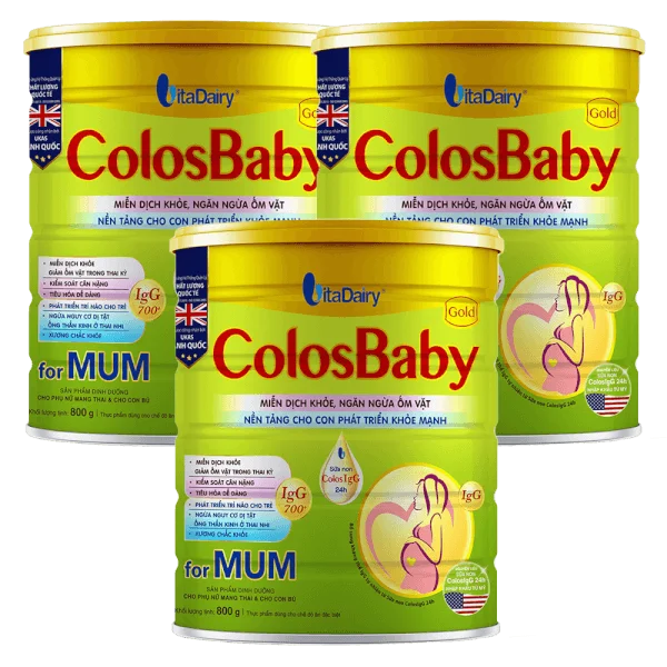 Combo 3 Sữa bầu Colosbaby Gold Mum 800g
