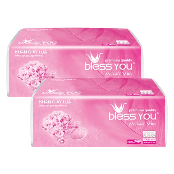 Combo 2 Khăn giấy lụa rút 2 lớp Bless You Alavie - 250 tờ