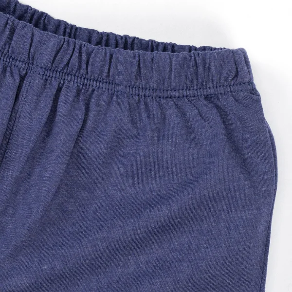 Bộ bé trai ngắn BST bé dần Animo B0222004 (6M-6Y,Xanh)