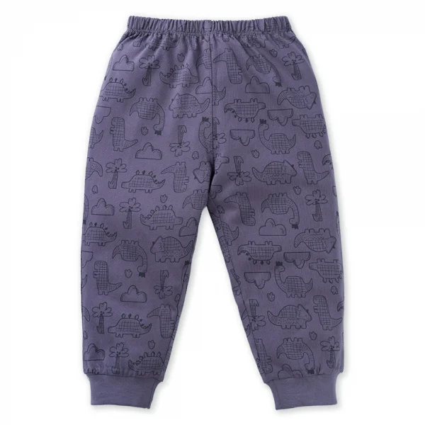 Bộ bé trai dài Dino Animo HN1223004 (6M-6Y,Kem phối tím)