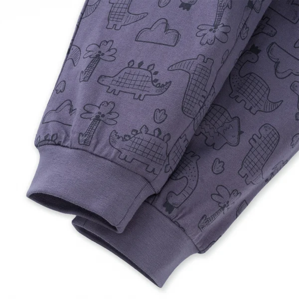 Bộ bé trai dài Dino Animo HN1223004 (6M-6Y,Kem phối tím)