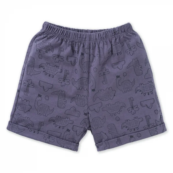 Bộ bé trai ngắn Dino Animo HN1223003 (6M-6Y,Kem phối tím)
