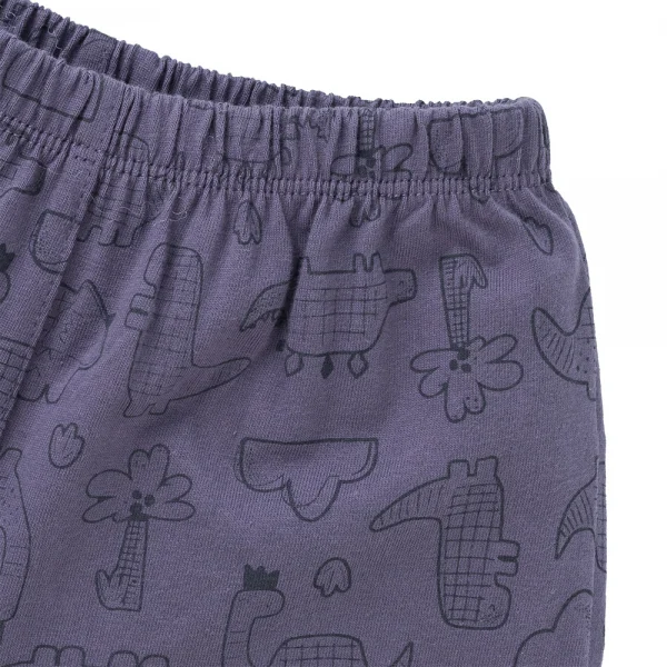 Bộ bé trai ngắn Dino Animo HN1223003 (6M-6Y,Kem phối tím)