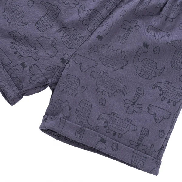 Bộ bé trai ngắn Dino Animo HN1223003 (6M-6Y,Kem phối tím)