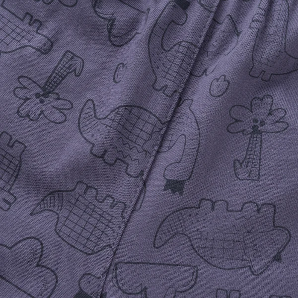 Bộ bé trai ngắn Dino Animo HN1223003 (6M-6Y,Kem phối tím)