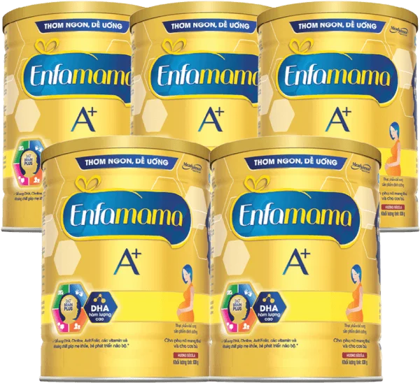 Combo 5 Thực phẩm bổ sung Sản phẩm dinh dưỡng Enfamama A+ hương chocolate 360° Brain Plus 830G