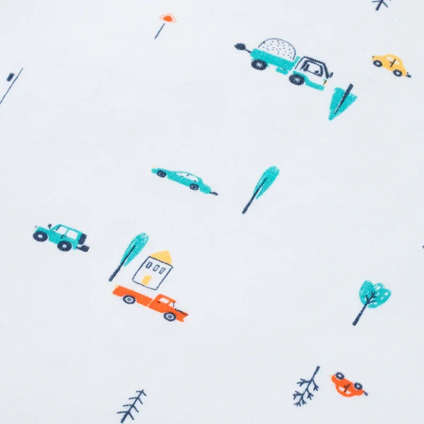 Set 2 Bộ kháng khuẩn Modal ngắn Xe hơi Animo VD1023003 (0-24M,Xanh ngọc)