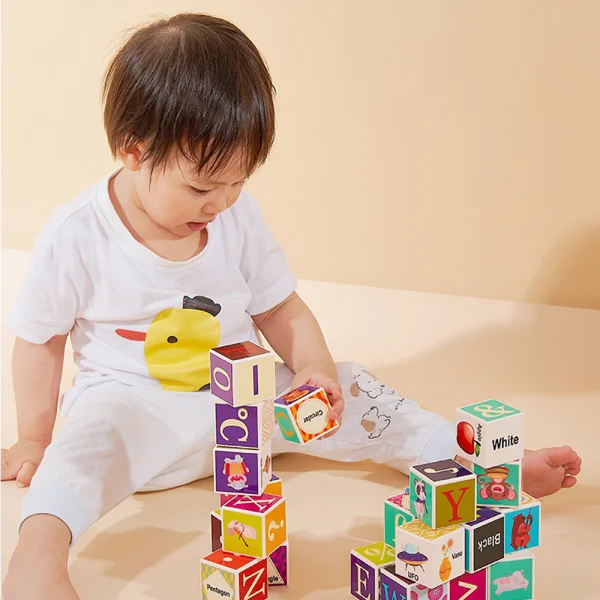 Bộ khối vuông học tập đa chủ đề 24pcs HW23162004 C402