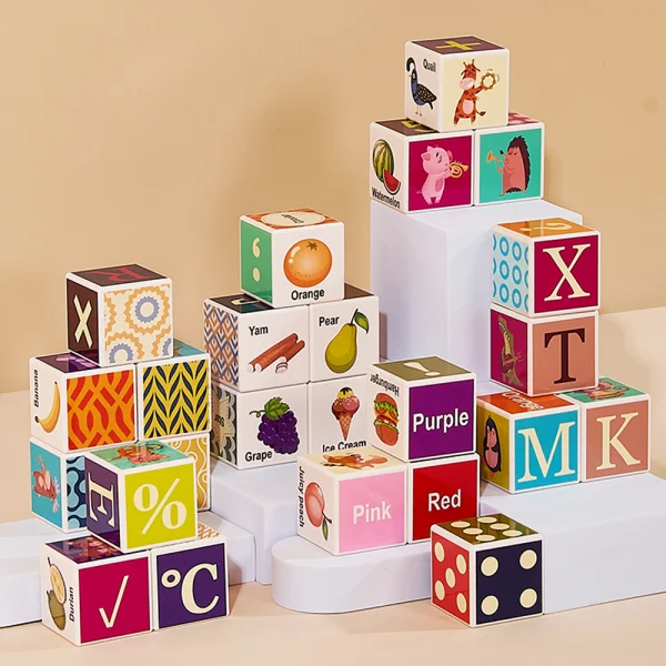 Bộ khối vuông học tập đa chủ đề 24pcs HW23162004 C402