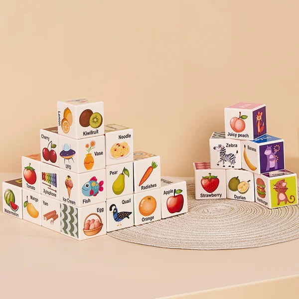 Bộ khối vuông học tập đa chủ đề 24pcs HW23162004 C402