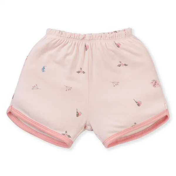 Set 2 Bộ kháng khuẩn Modal ngắn Chích bông Animo VD1023004 (0-24M,Hồng Dâu)