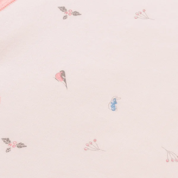 Set 2 Bộ kháng khuẩn Modal ngắn Chích bông Animo VD1023004 (0-24M,Hồng Dâu)