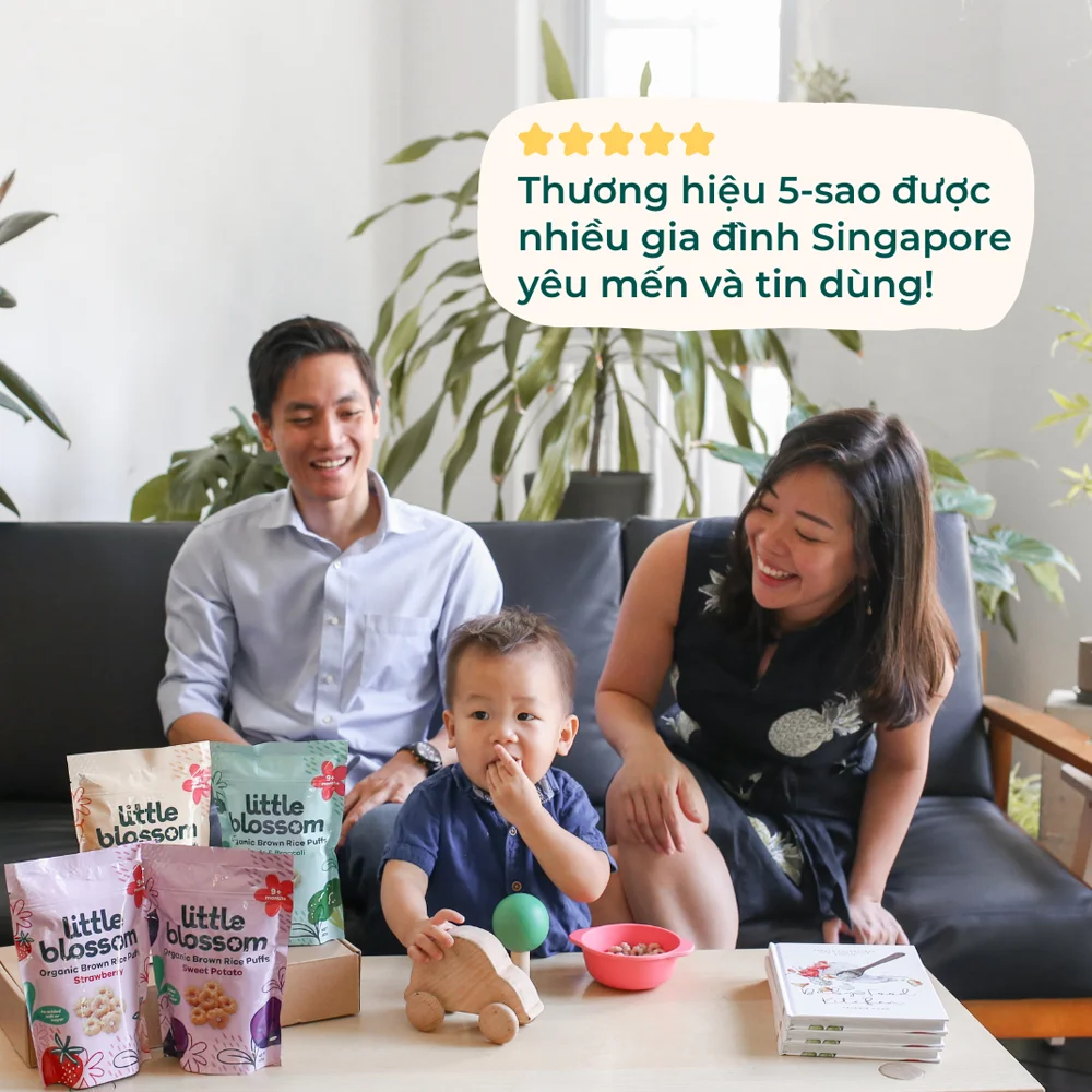 Combo 2 Bánh Puffs Gạo Lứt Hữu Cơ Little Blossom Vị Bí Ngô 40g