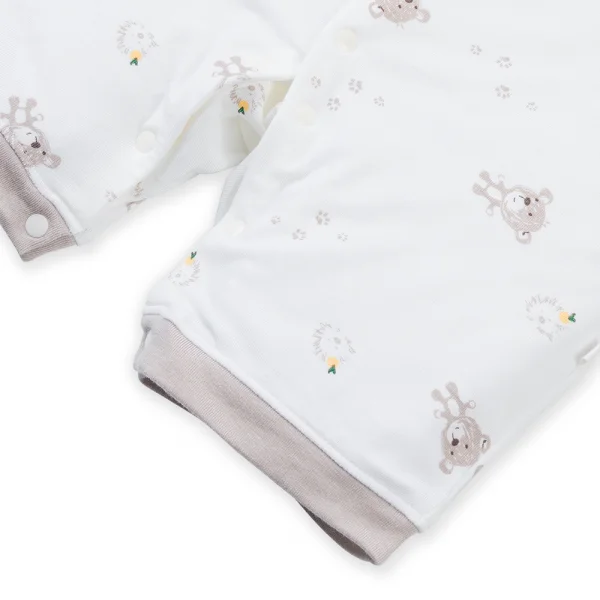 Set 2 Bodysuit kháng khuẩn đùi Gấu nhỏ Animo VD1023008 (0-12M,Trắng)