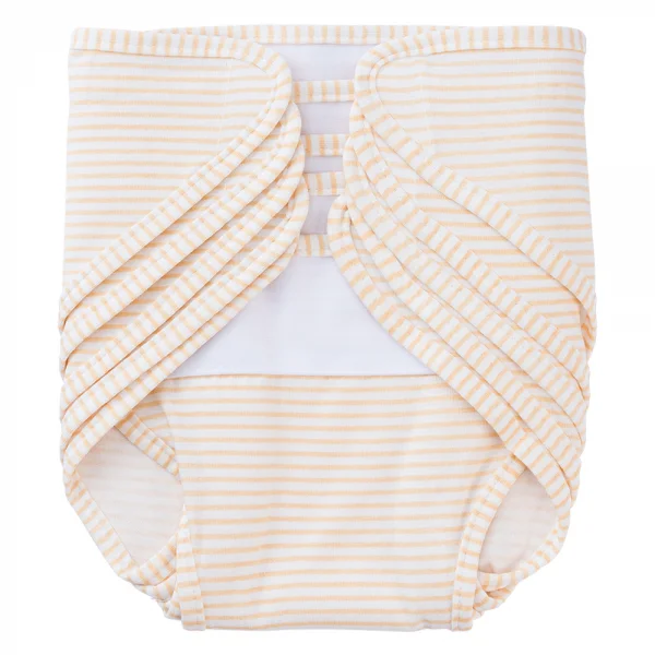 Set 5 tã vải sơ sinh Animo BA1022079 (NB,Vàng sọc)