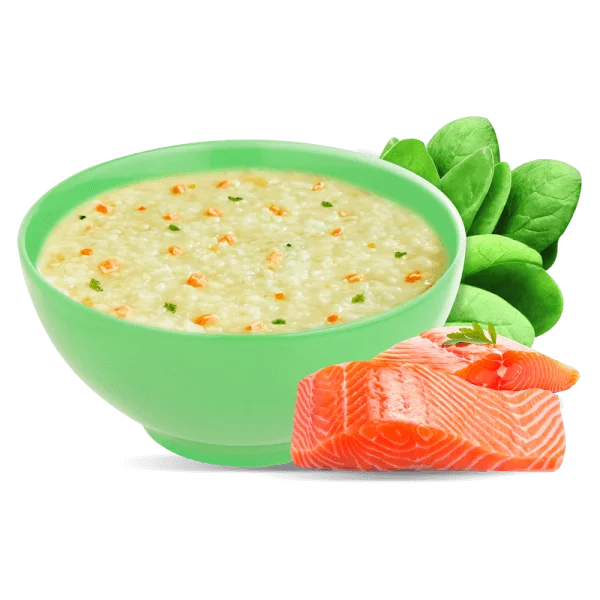 Cháo tươi baby cá hồi cải bó xôi 240g, SG Food, 7 tháng