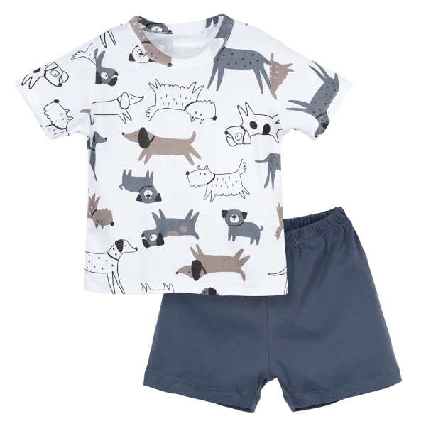 Bộ bé trai ngắn Animo Easy HN0724053 (1-4Y,Xám nhạt)