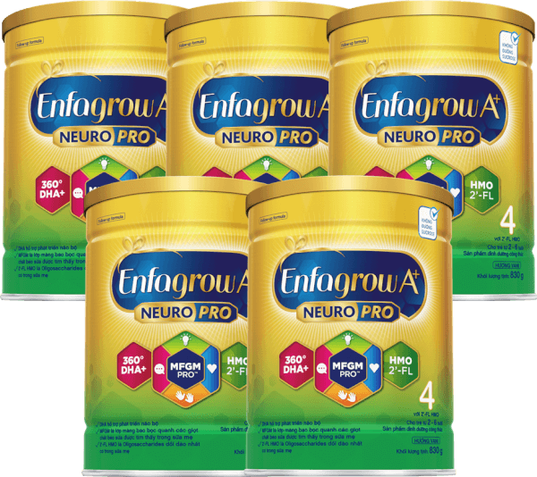 Combo 5 Sữa Enfagrow A+ số 4 830g (2-6 tuổi) 2Flex
