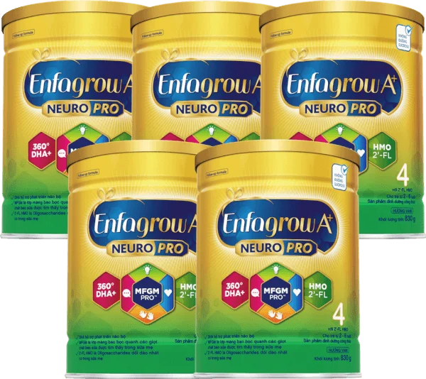 Combo 5 Sữa Enfagrow A+ số 4 830g (2-6 tuổi) 2Flex
