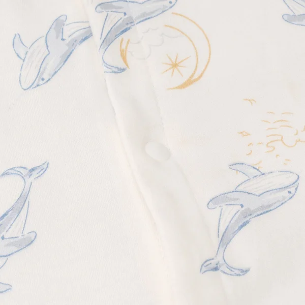 Bodysuit đông vải mỏng Animo MN0924039 (0-12M,Trắng)