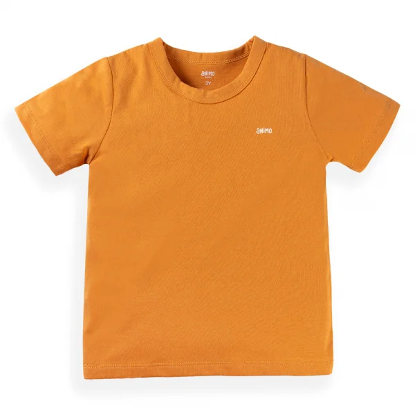 Set 2 Áo bé trai Animo Easy HN0924019 (1-4Y,Nhiều màu)