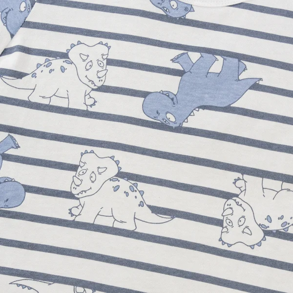 Set 2 Áo bé trai Animo Easy HN0924012 (1-4Y,Nhiều màu)