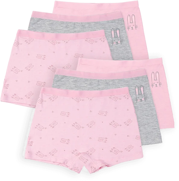 Combo 2 Bộ 3 quần lót bé gái đùi Animo VĐ223008 (2-6Y,Nhiều màu)