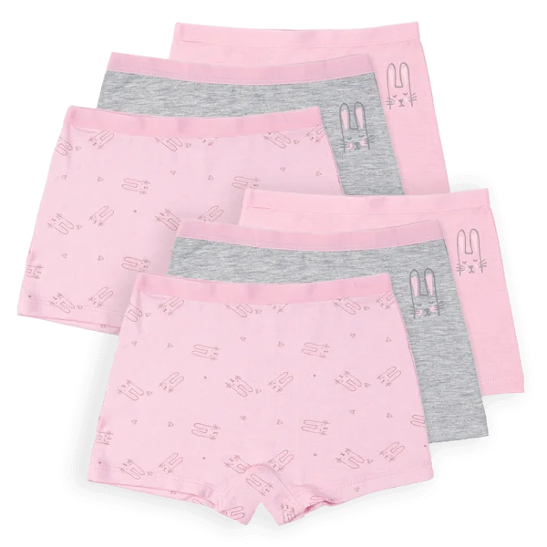 Combo 2 Bộ 3 quần lót bé gái đùi Animo VĐ223008 (4-5Y,Nhiều màu)