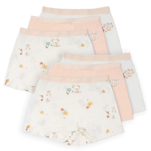 Combo 2 Bộ 3 quần lót bé gái đùi Animo VĐ223009 (3-4Y,Nhiều màu)