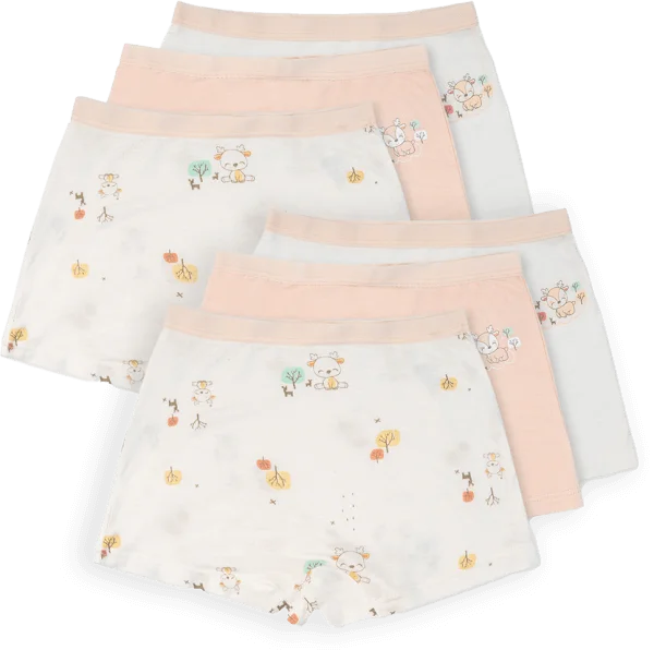 Combo 2 Bộ 3 quần lót bé gái đùi Animo VĐ223009 (4-5Y,Nhiều màu)