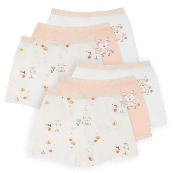 Combo 2 Bộ 3 quần lót bé gái đùi Animo VĐ223010 (3-4Y,Nhiều màu)