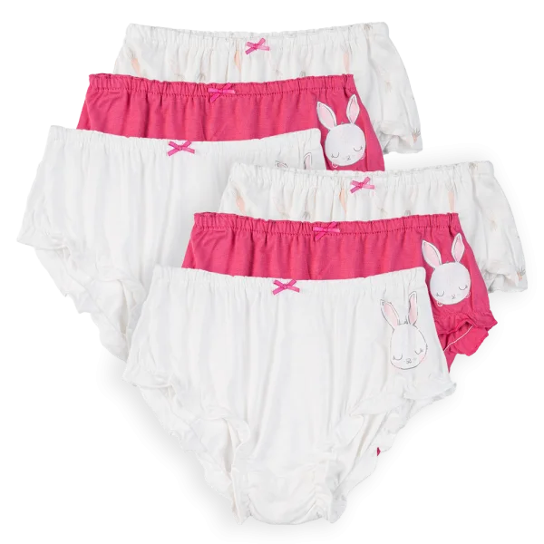 Combo 2 Bộ 3 quần lót bé gái tam giác Animo VĐ223003 (3-4Y,Nhiều màu)