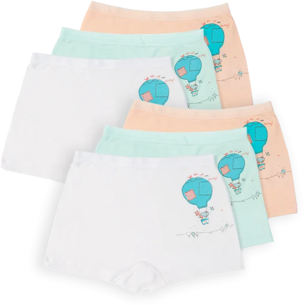 Combo 2 Bộ 3 quần lót bé gái đùi Animo VĐ223006 (2-6Y,Nhiều màu)