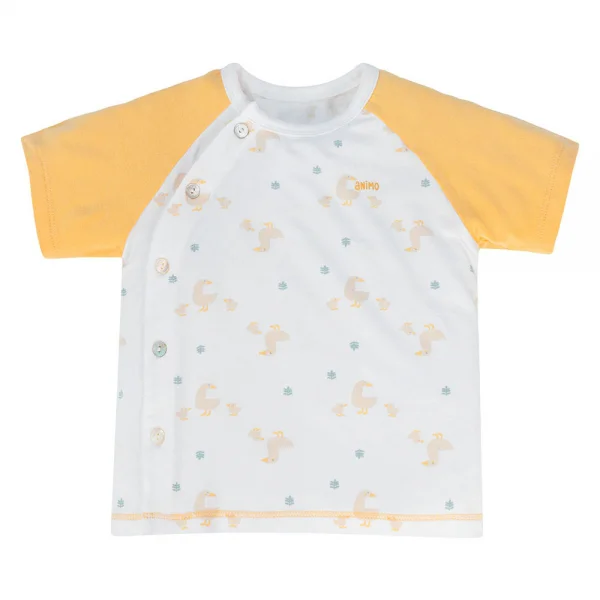 Set 2 Bộ modal kháng khuẩn ngắn Animo VD1024005 (0-24M,Vàng)