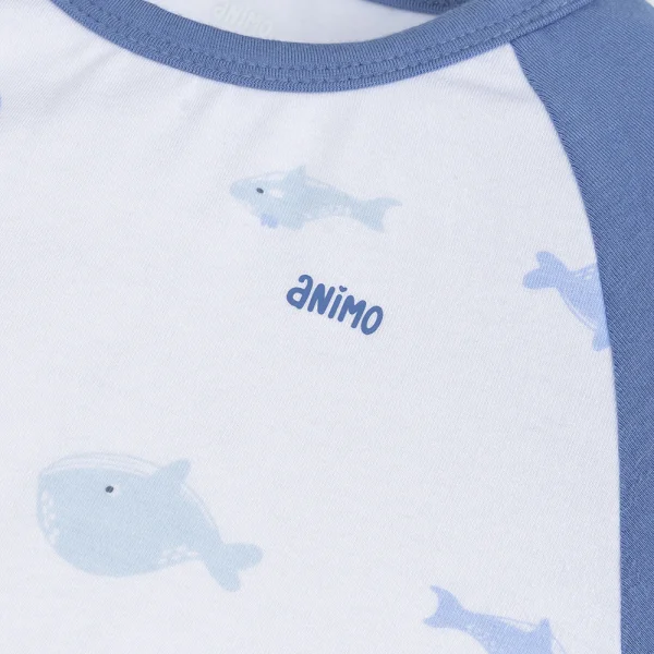 Set 2 Bodysuit modal kháng khuẩn đùi Animo VD1024012 (0-12M,Xanh dương)