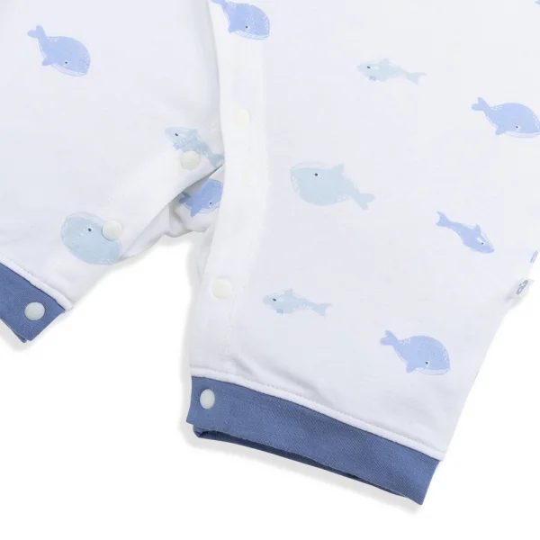 Set 2 Bodysuit modal kháng khuẩn đùi Animo VD1024012 (0-12M,Xanh dương)