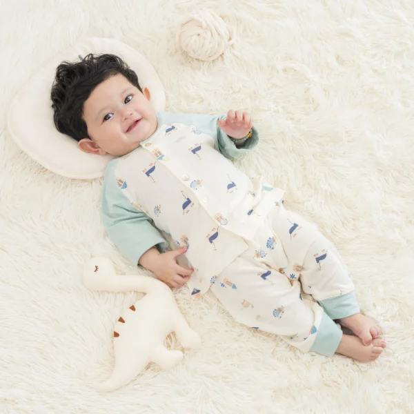 Set 2 Bộ kháng khuẩn Modal dài Animo VD0724033 (0-24M,Xanh)