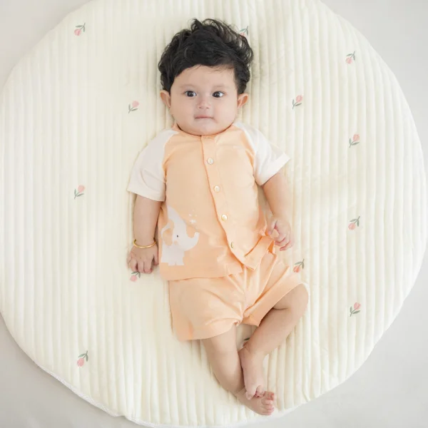 Set 2 Bộ kháng khuẩn Modal ngắn Animo VD0724027 (0-24M,Trắng phối cam)