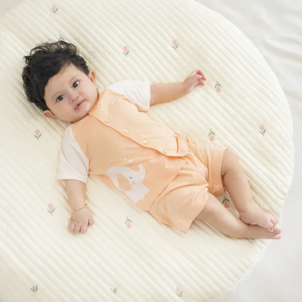 Set 2 Bộ kháng khuẩn Modal ngắn Animo VD0724027 (0-24M,Trắng phối cam)