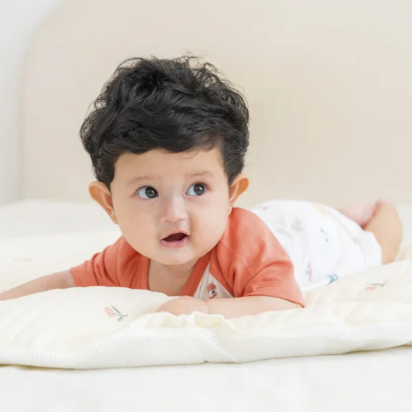 Set 2 Bộ kháng khuẩn Modal ngắn Animo VD0724031 (0-24M,Đỏ phối trắng)