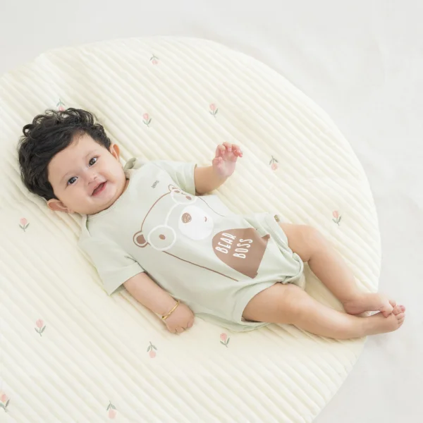Set 2 Bodysuit modal kháng khuẩn tam giác Animo VD1024010 (0-9M,Xanh bơ)