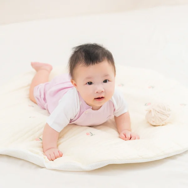 Set 2 Bộ modal kháng khuẩn ngắn Animo VD1024008 (0-24M,Tím)