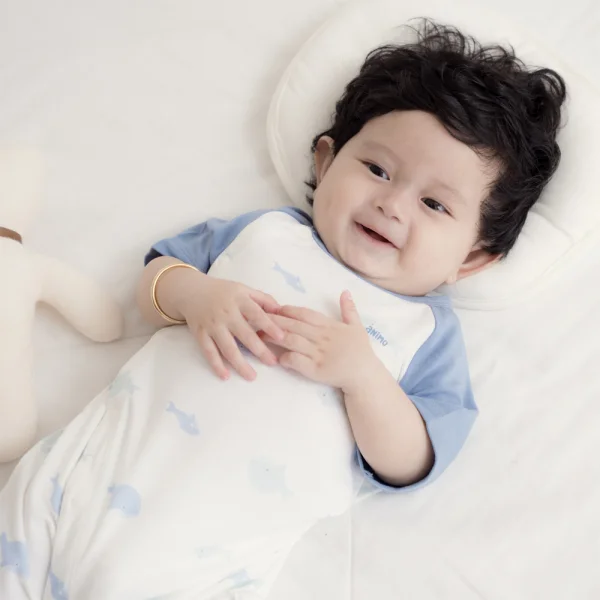 Set 2 Bodysuit modal kháng khuẩn đùi Animo VD1024012 (0-12M,Xanh dương)