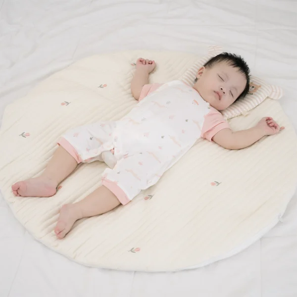 Set 2 Bodysuit kháng khuẩn Modal đùi Animo BMC1024028 (0-12M,Hồng dâu)