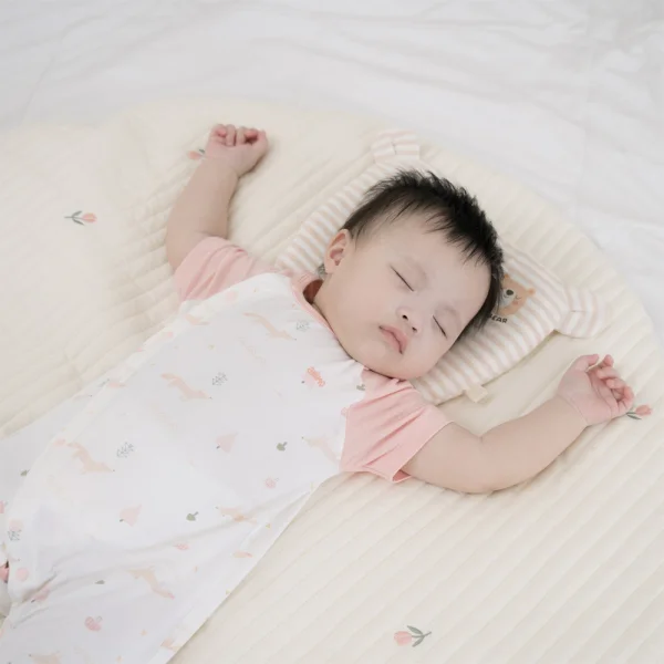 Set 2 Bodysuit kháng khuẩn Modal đùi Animo BMC1024028 (0-12M,Hồng dâu)