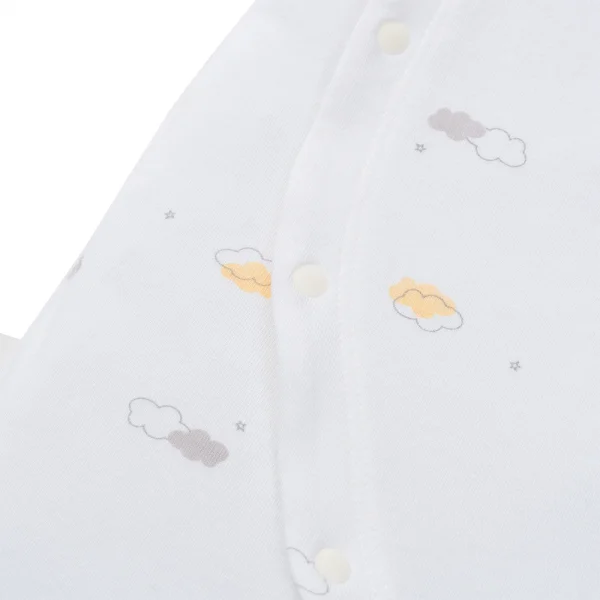 Set 2 Bodysuit modal kháng khuẩn đùi Animo VD0125004 (0-12M,Vàng-đỏ,TT06)